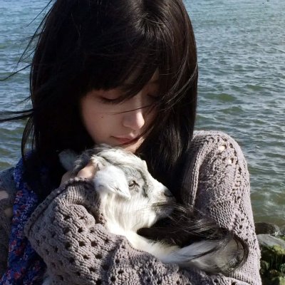 雾中之犬